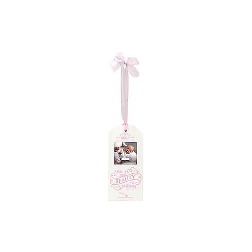 Malden 3x3 Sleeping Beauty Pink Door Tag