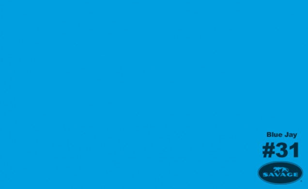 Savage Seamless Background Paper 53" x 12 yd Blue Jay