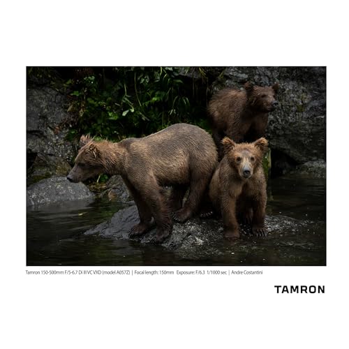 Tamron 150-500mm f/5-6.7 Di III VXD Lens (Nikon Z)