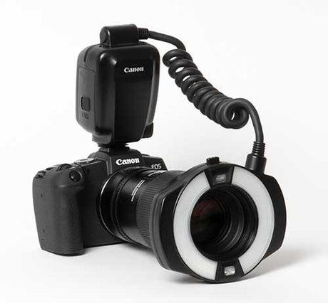 Dental Photography