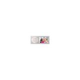 Malden 4x6 World's Greatest Nana Frame
