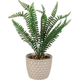 Primitives Planter - Honeycomb Fern