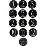 Primitives Milestone Disc Set - Month