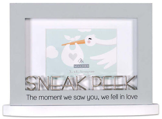 Malden 4X6 Sneak Peak Modern Statement Frame