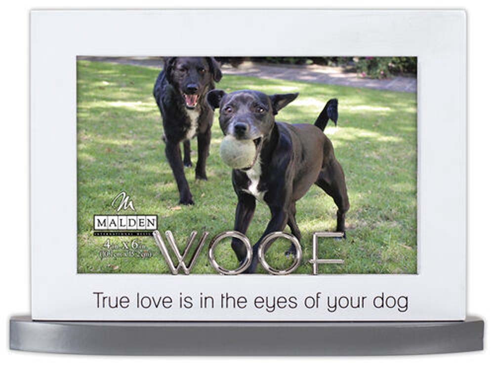 Malden 4x6 Woof Modern Statement Frame