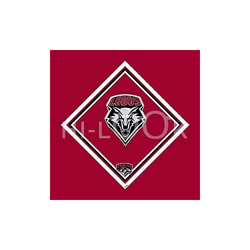 Hi-Look Collegiate Microfiber Cloth (University of New Mexico)