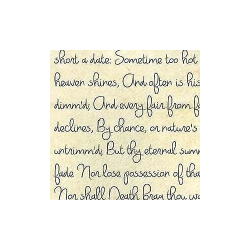 Savage Printed Background Paper (53" x 18', Romantic Script)
