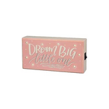 Primitives Dream Big Pink LED Box Sign