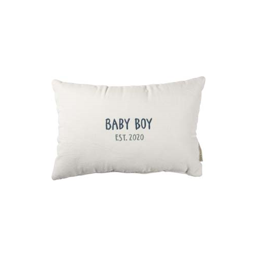 Primitives Pillow - Baby Boy 2020