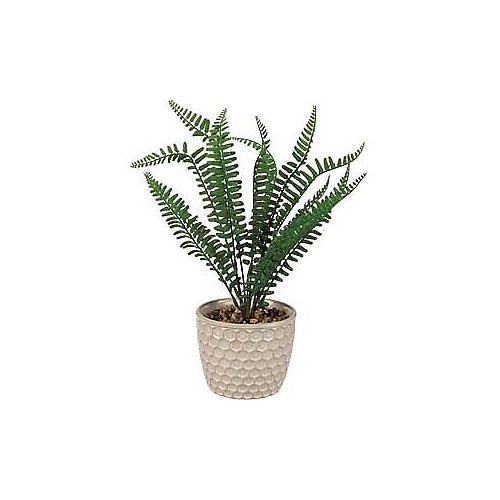 Primitives Planter - Honeycomb Fern