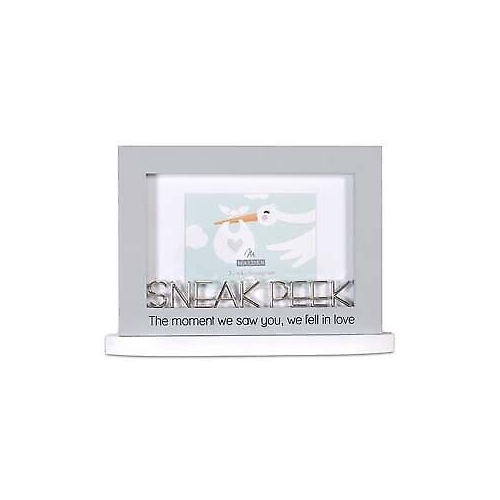 Malden 4X6 Sneak Peak Modern Statement Frame