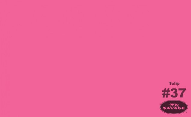 Savage Seamless Background Paper 53" x 12 yd Tulip