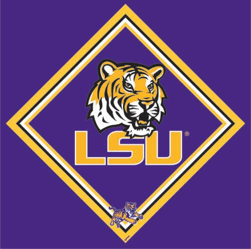 Hi-Look Collegiate Microfiber Cloth (Louisiana State University)