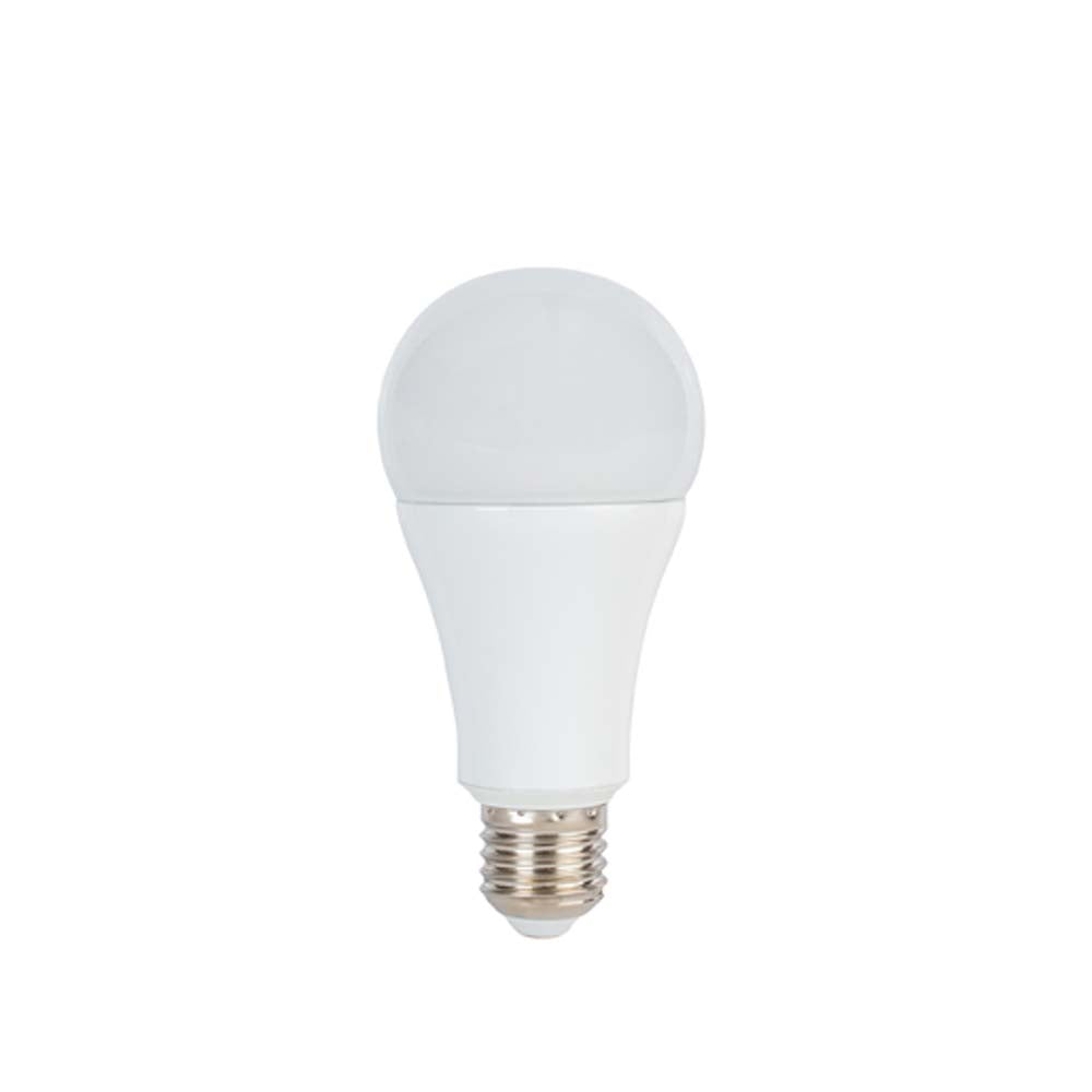 Promaster LED Studio Lamp 14W (5600K)