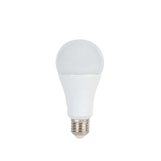 Promaster LED Studio Lamp 14W (5600K)