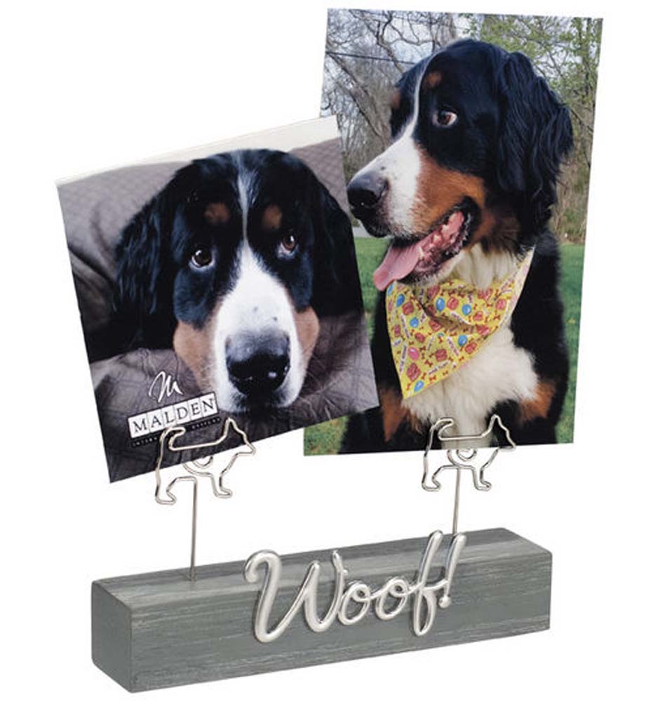 Malden Woof Distressed Expressions Clip Frame