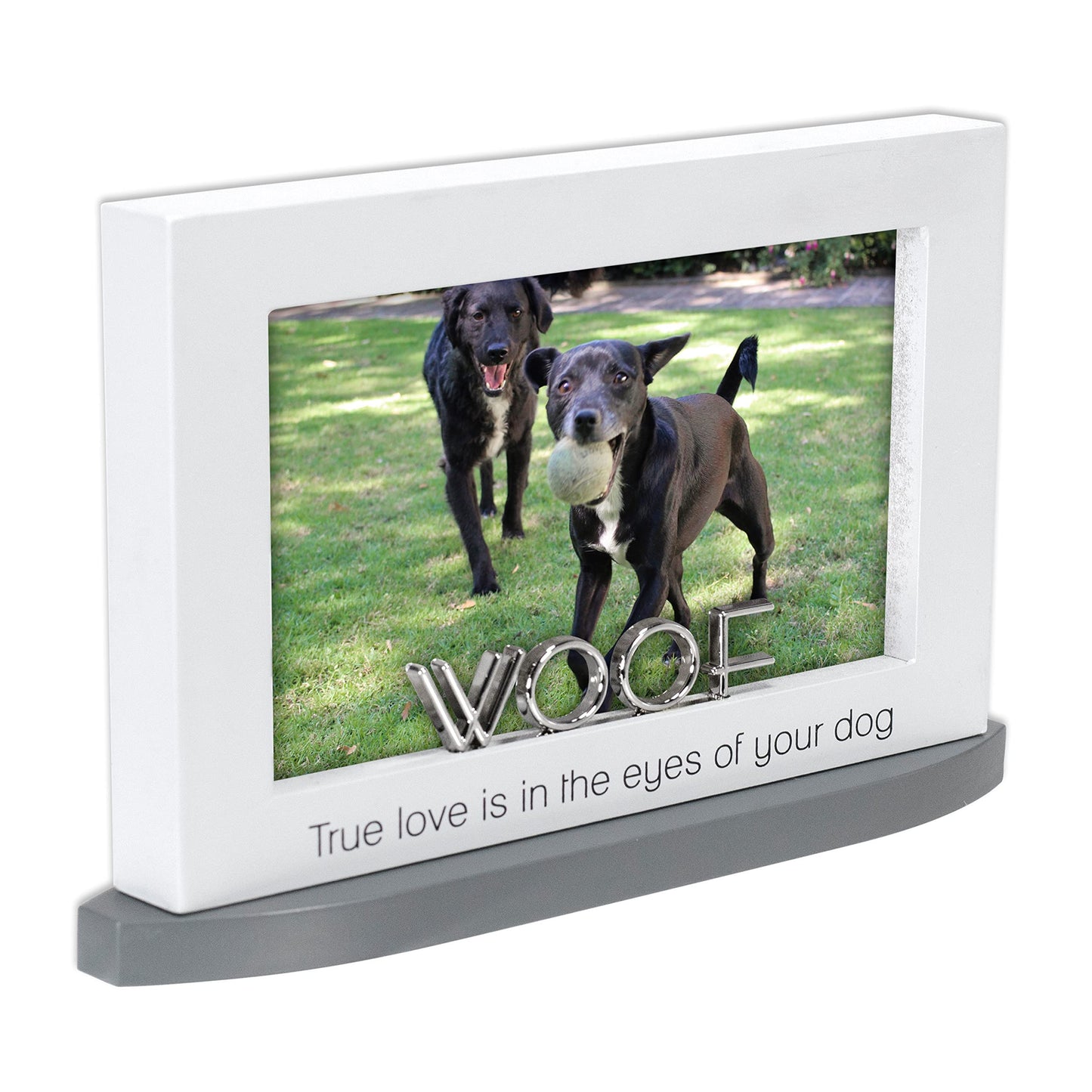 Malden 4x6 Woof Modern Statement Frame