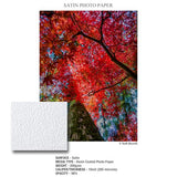 Ilford Galerie Satin Photo Paper (4 x 6", 100 Sheets)
