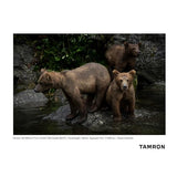 Tamron 150-500mm f/5-6.7 Di III VXD Lens (Nikon Z)