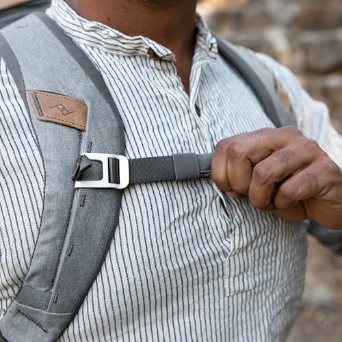 Peak Design Everyday Backpack Zip 20L - Ash