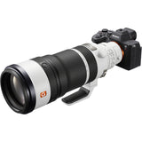 Sony FE 100-400mm f/4.5 GM OSS Lens